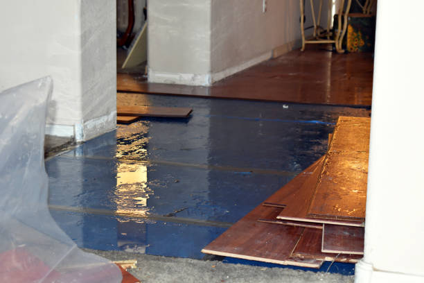Professional Burst Pipe Cleanup technician working in Ramona, CA